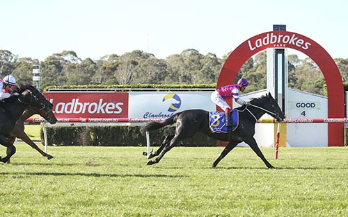 METROPOLITAN SUCCESS FOR FIGHTING HARADA..